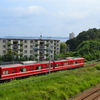 京浜急行と夏の海を撮りに行く。