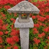 鰐鳴八幡宮の彼岸花
