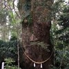 クソを漏らした挙句、多目的トイレで自分のうんちの臭いを嗅いで発熱、あやうくコロナ発症