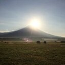 フリースタイル