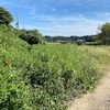 下井沢ふれあい公園