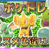 sp 色違いシェイミの入手 厳選やり方 準備事項など ダイパリメイク Club Shiny S Blog 2号館