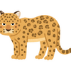 リンゲルンデ に一致する情報は見つかりませんでした