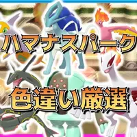 ポケットモンスターパール　自己産配布と自己産色違い伝説と幻 ポケットモンスターパール 自己産配布と自己産色違い伝説と幻