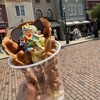 香港ディズニーランド┋パークフード編┋注文方法やおすすめ
