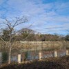 ちくわ、滋賀県ドライブでやっとお散歩できる。