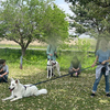 犬の森オフ会@新横浜公園