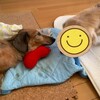 笑顔が🐶 お友達がお見舞いに            