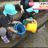 輪島市門前町を流れるハヶ川で園児のみんながアユの稚魚を放流しました♪
