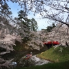 《番外編》桜とりんごの町〜弘前