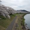 大河原　一目千本桜