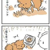 【犬漫画】また検査延長になった話