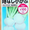 水耕栽培で美しい小カブの収穫に挑戦！太くなってきたら土寄せをして肌を保護しましょう