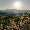 京都で早朝散歩・・・衣笠山の巻