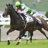 【#58】競馬3歳牡馬ランキング（2019春）