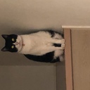 備忘録ブログ