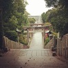 宮地嶽神社の秋季大祭に参加しています。