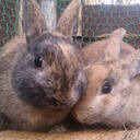 現実からの情趣ある逃走