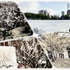 ルーブルの友人と大阪城公園 2024