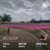 休日日記37　4/26　chatGPTが話し相手