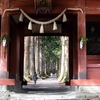 「真田太平記」第5巻・信州戸隠には戦国時代の地霊が眠っていそう
