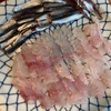 イワシとキントキダイ