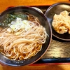 そば政【蕎麦政】（足立区南花畑 六町駅）天ぷらそば