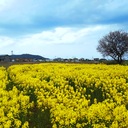 滋賀県立大学　フラワーエネルギー「なの・わり」活動日誌