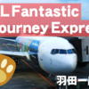 ファンタジースプリングス特別塗装機で出雲へ【JAL×東京ディズニーリゾート】羽田―出雲