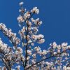 給与明細が電子化される。