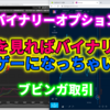 バイナリーオプション「これを見ればバイナリーがヌルゲーになっちゃいます」ブビンガ取引