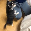 まろにー1380日目