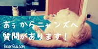 あぅからニャンズに質問があります。(答えはありません)
