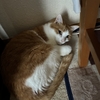 シルバーウイークに台風接近😿　雨ばっかり☔どうしちゃったんでしょ？？？
