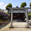 藤の花 ・ 藤森荒魂神社  ( 2013-04-26 )