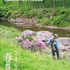 春来たりなば…