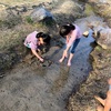 けいはんな公園に行きました！