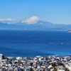 久しぶりに古巣・仙元山にアタック