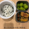 174日目〜今週のお弁当〜