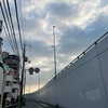 ノイズ