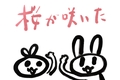 桜が咲いた