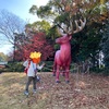 植物公園へ🌱