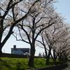 ２０２１年３月２７日（土）の日記