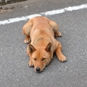 やまお節約ブログ