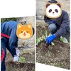 お仕事✨️
