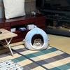 発雷予報なんてのを朝やっていましたよ