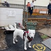 地下室の途中