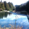 榛名高原釣り堀センター・釣りは厳しくてもピザが旨い