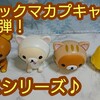 新作リラックマカプキャラガチャ！ねこシリーズ♪