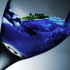 青ワイン　スペインで開発され話題に　日本での販売や青の秘密は？